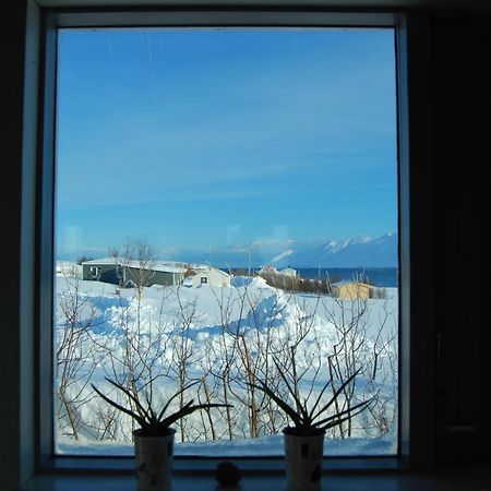 L&L Bnb - Stay'In Arbakki Arskogssandur Exterior photo